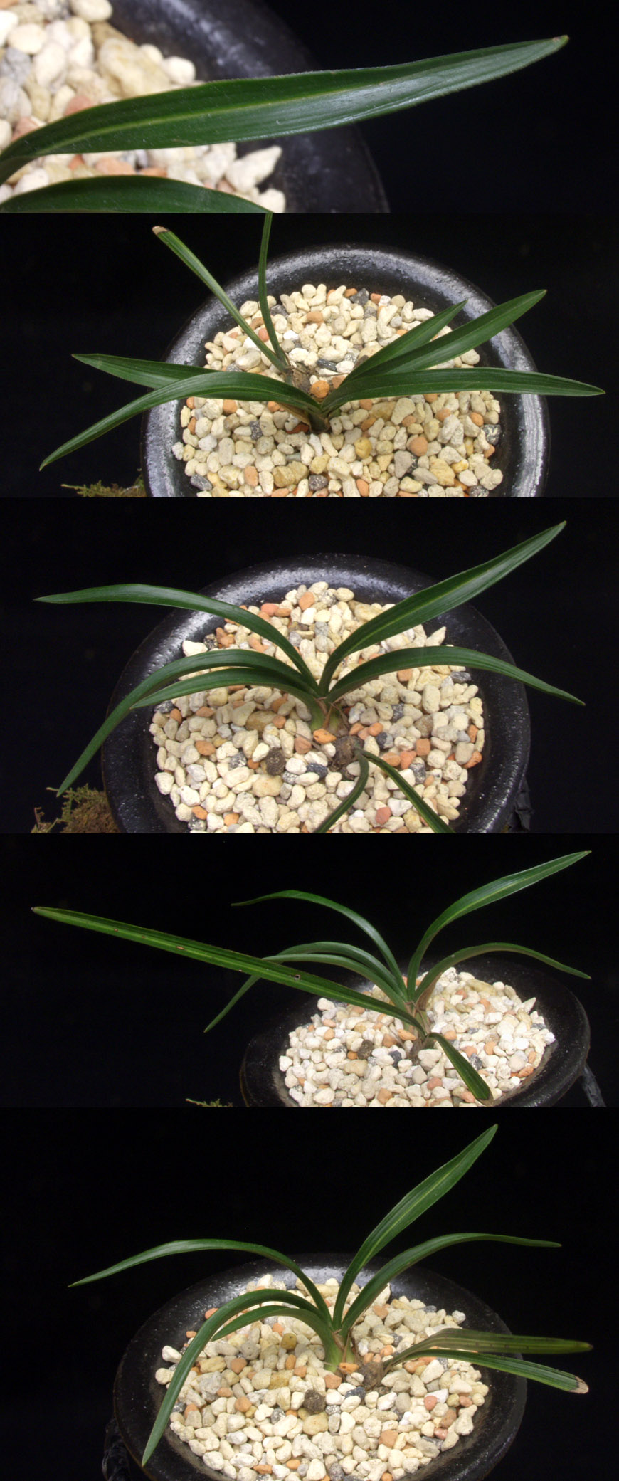 ������ ū������ �� �� �ֽ��ϴ�.