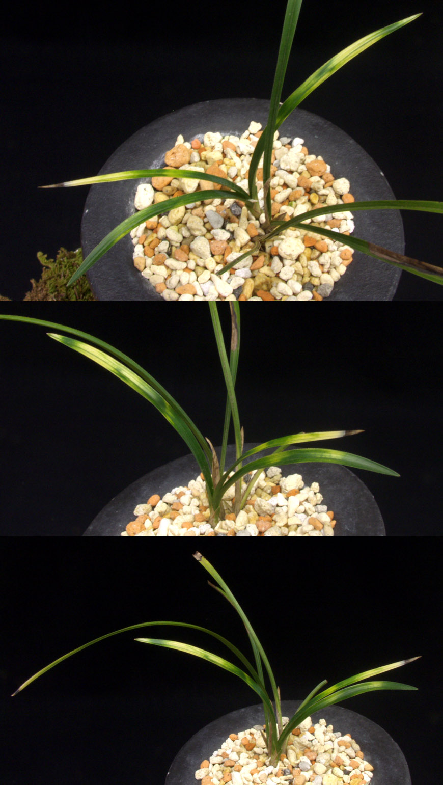 ������ ū������ �� �� �ֽ��ϴ�.