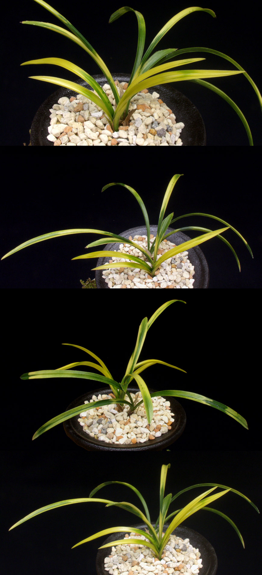 ������ ū������ �� �� �ֽ��ϴ�.