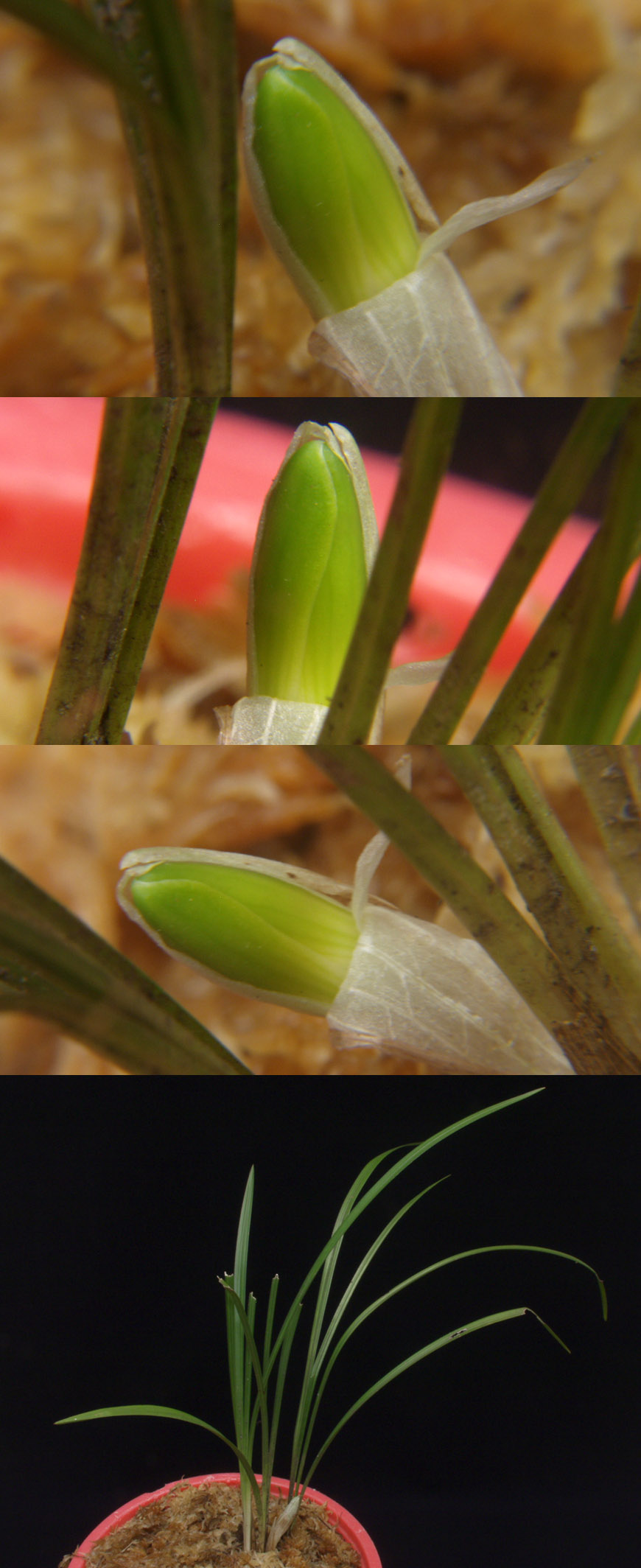 ������ ū������ �� �� �ֽ��ϴ�.