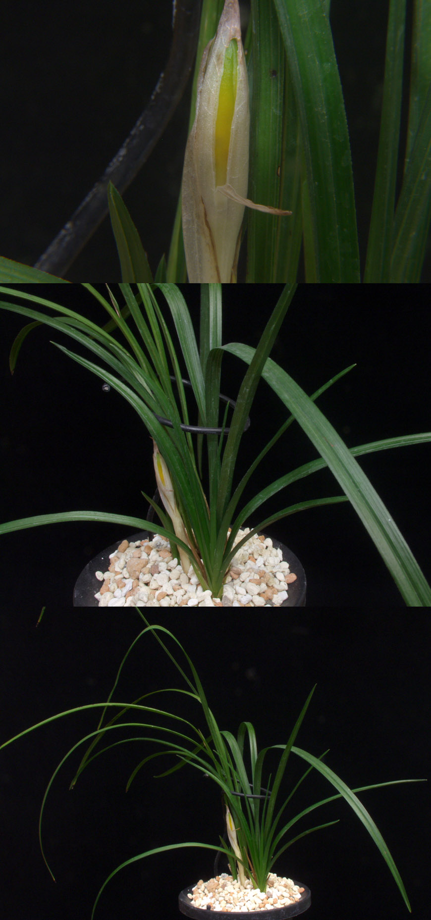 ������ ū������ �� �� �ֽ��ϴ�.