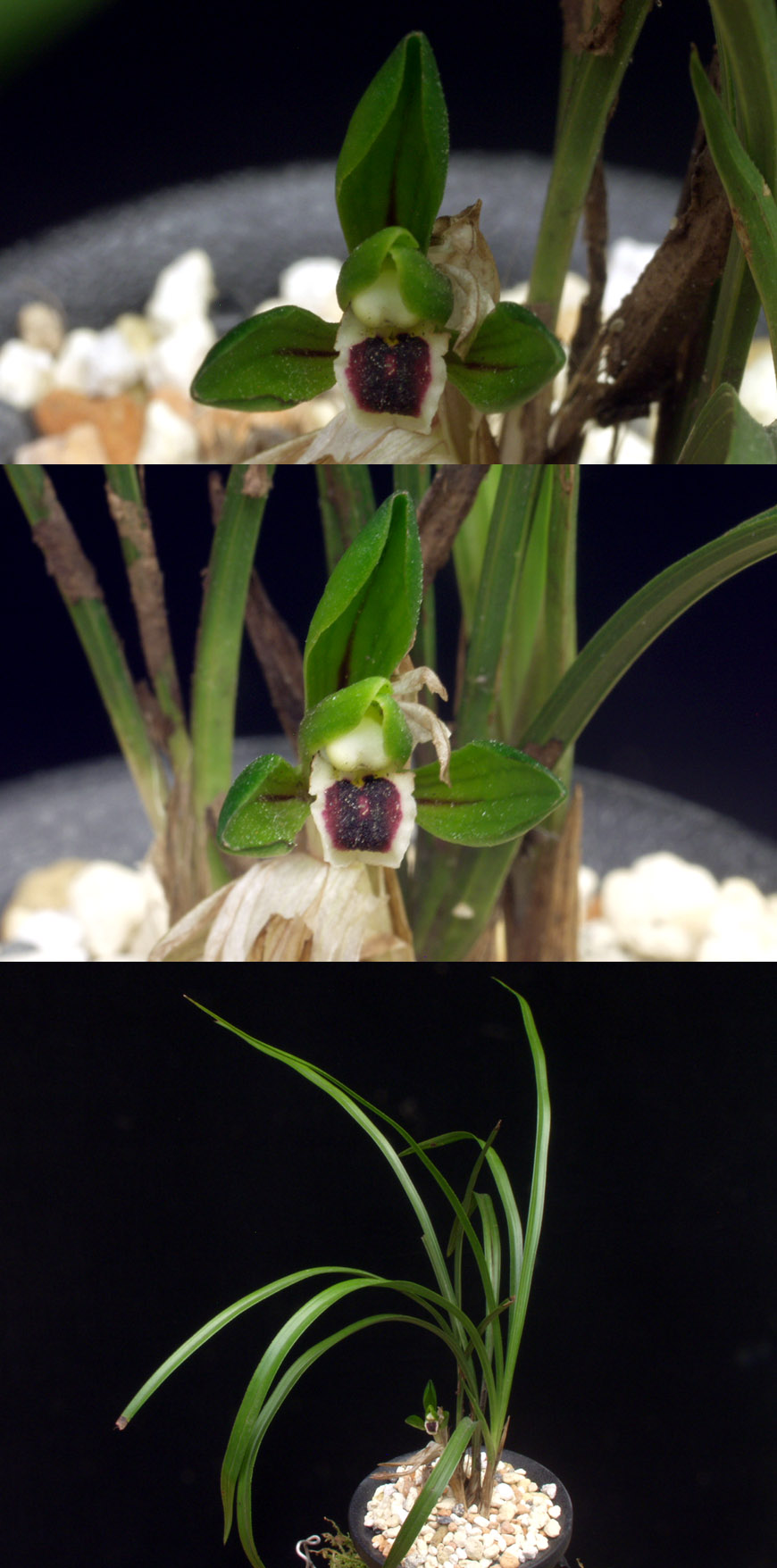 ������ ū������ �� �� �ֽ��ϴ�.