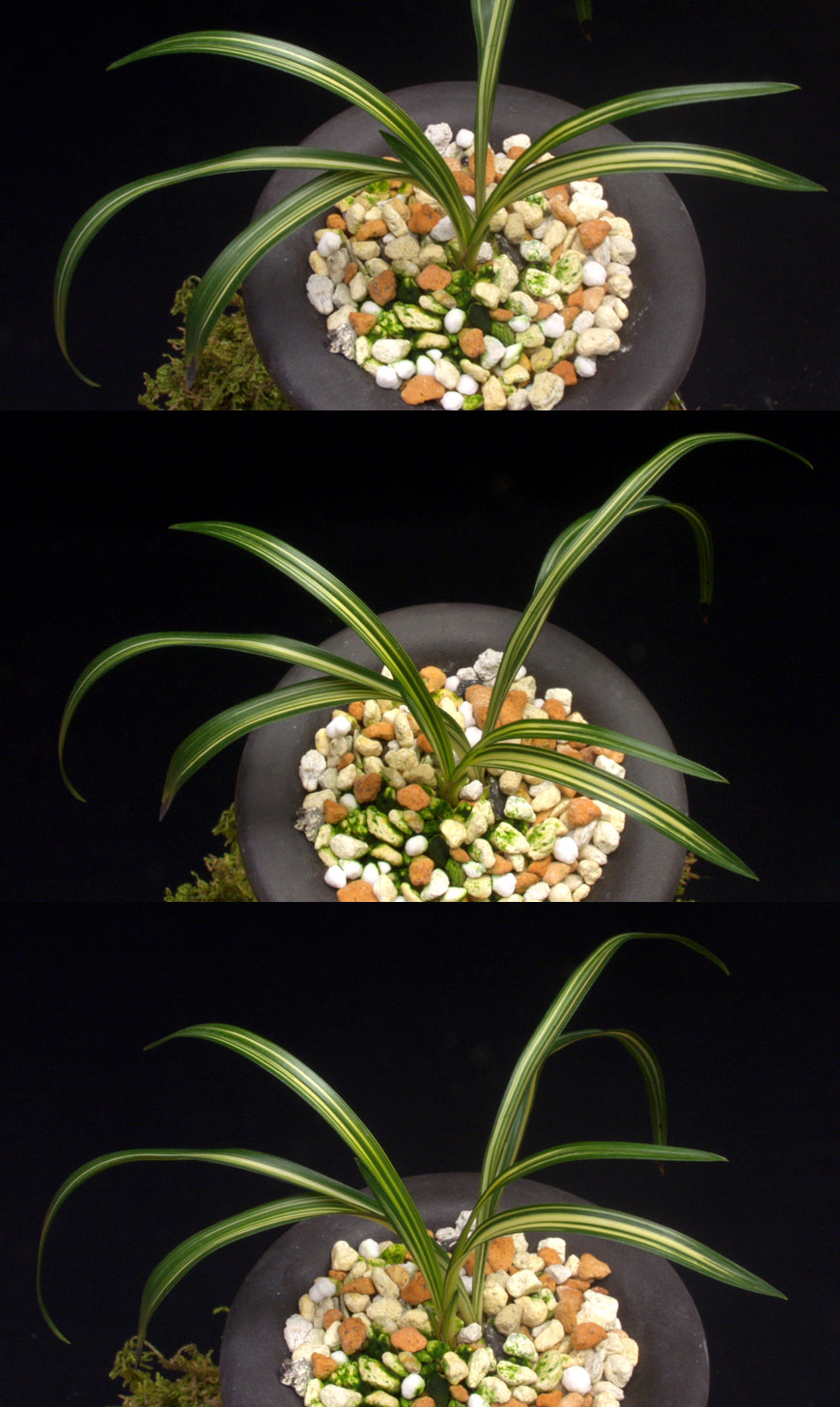 ������ ū������ �� �� �ֽ��ϴ�.