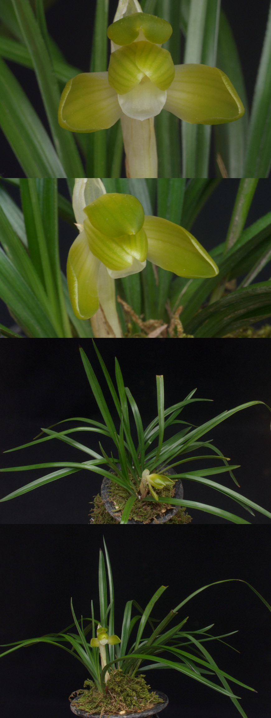 ������ ū������ �� �� �ֽ��ϴ�.