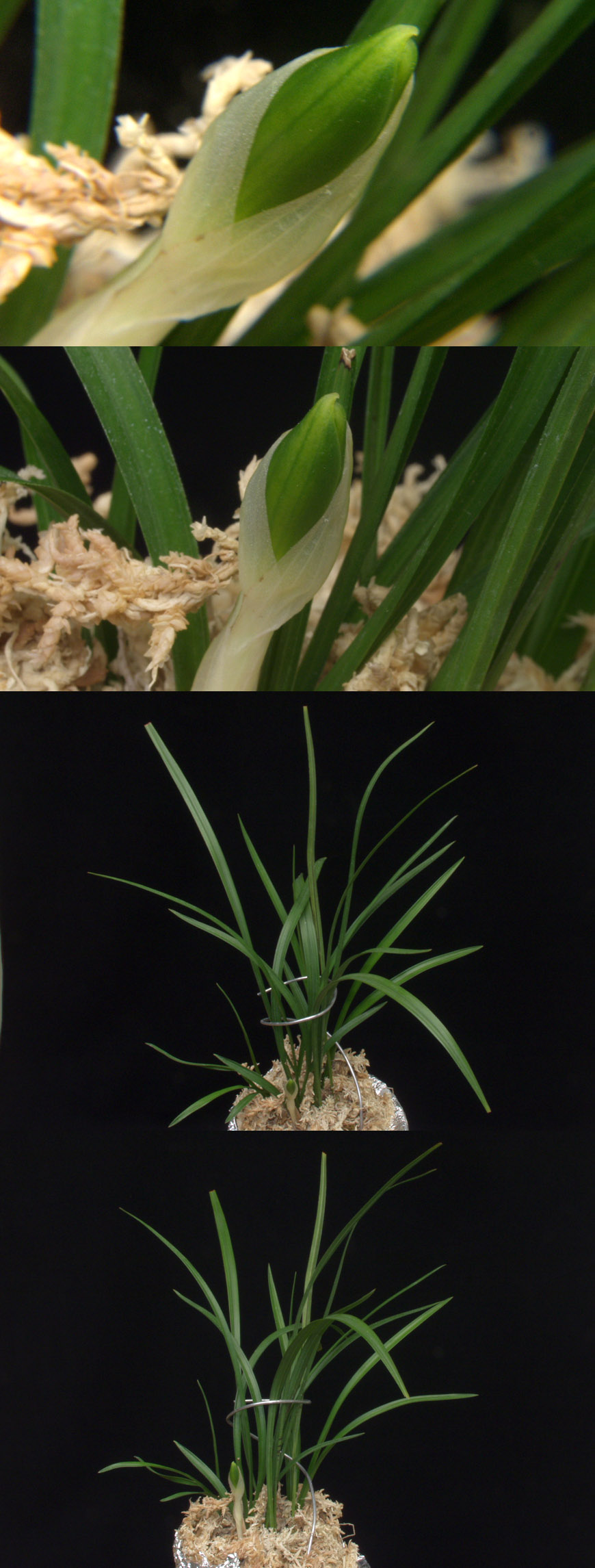 ������ ū������ �� �� �ֽ��ϴ�.