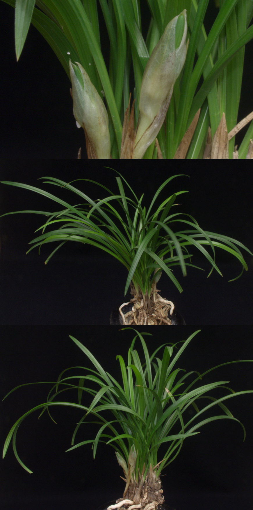 ������ ū������ �� �� �ֽ��ϴ�.