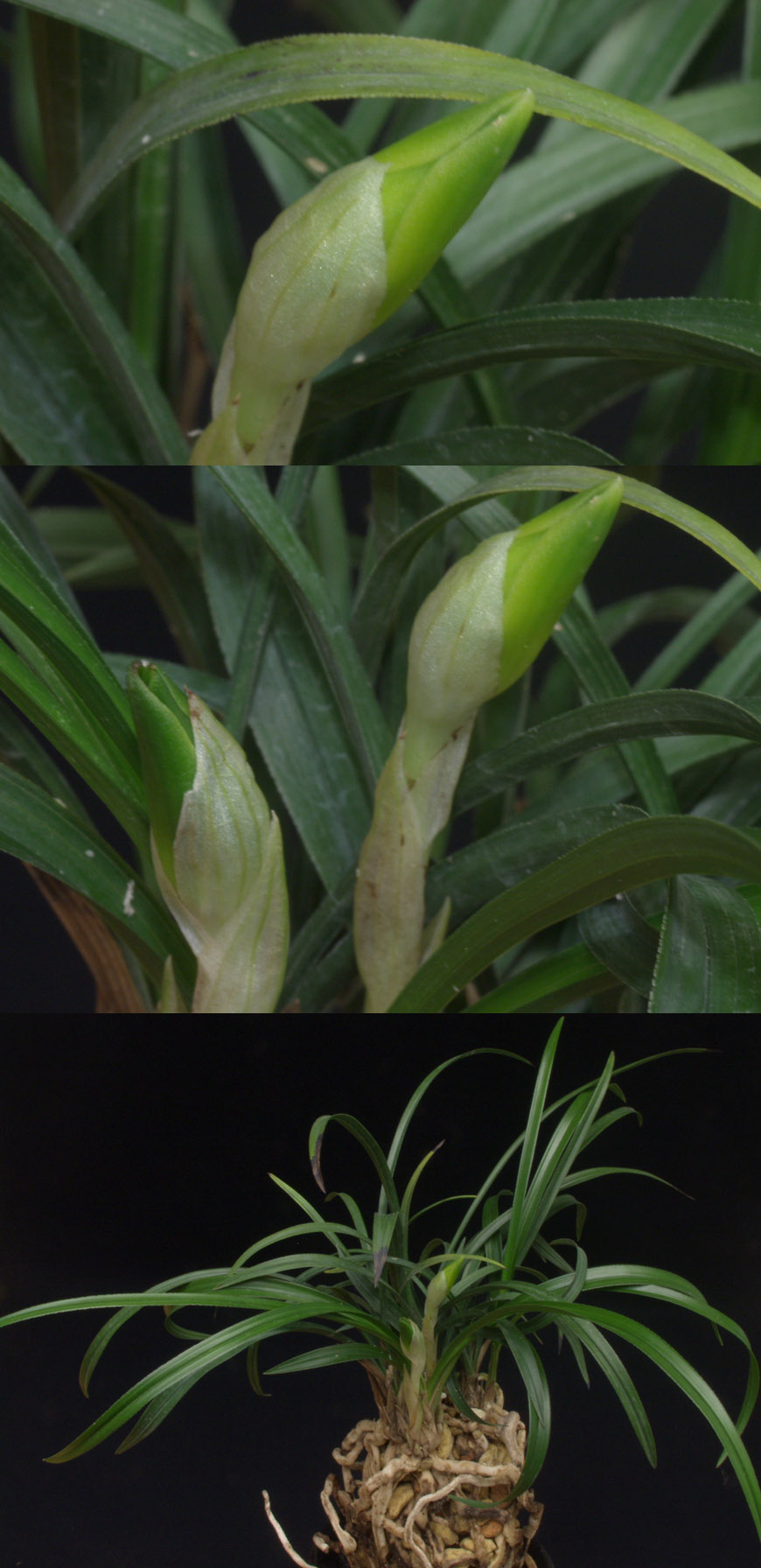 ������ ū������ �� �� �ֽ��ϴ�.