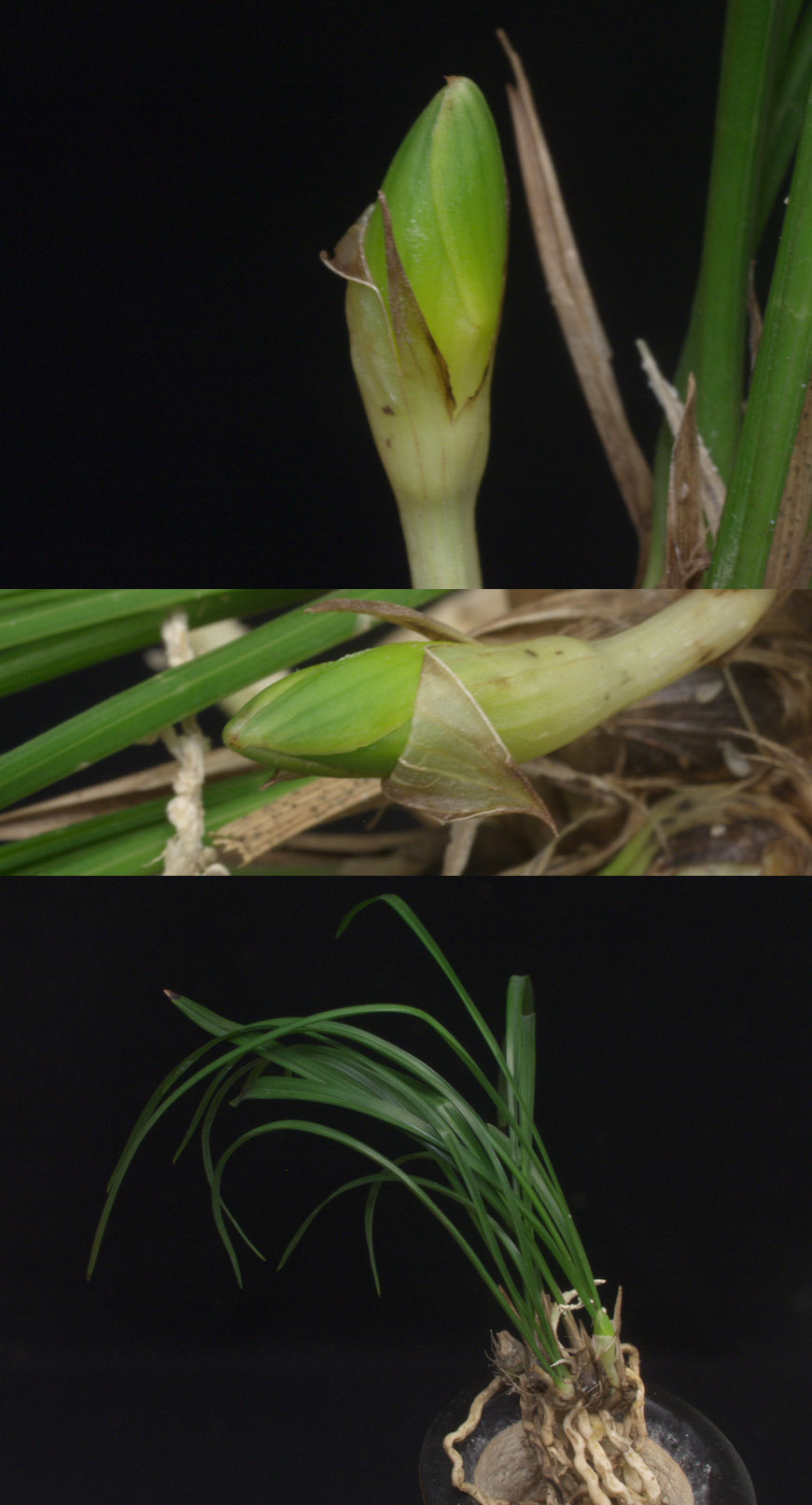 ������ ū������ �� �� �ֽ��ϴ�.