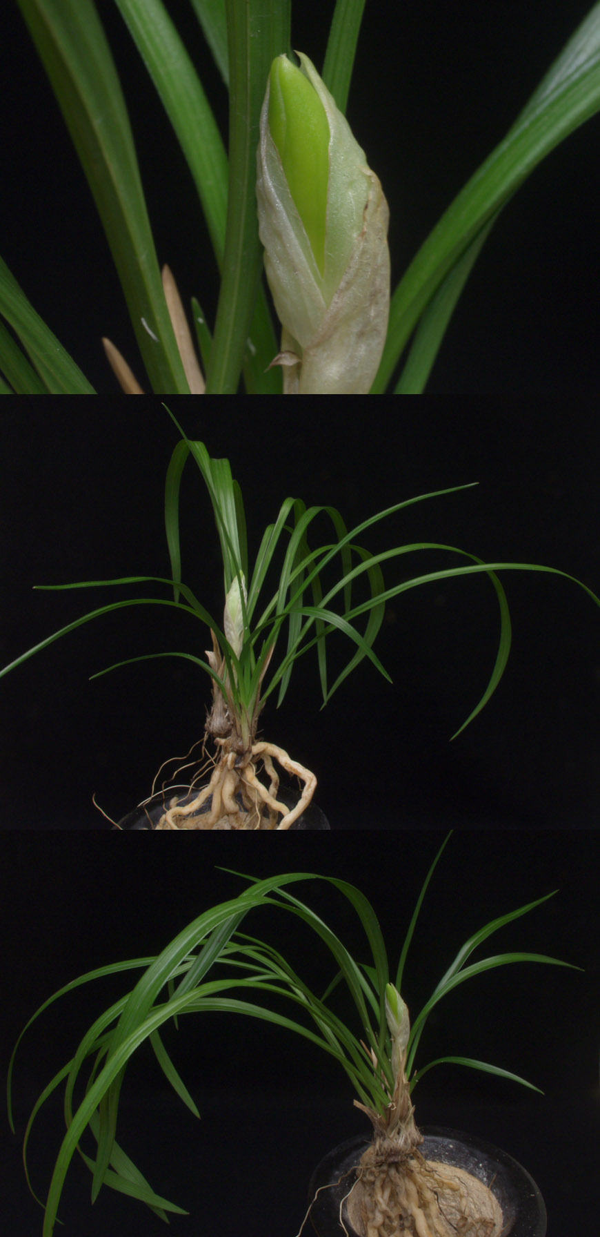 ������ ū������ �� �� �ֽ��ϴ�.