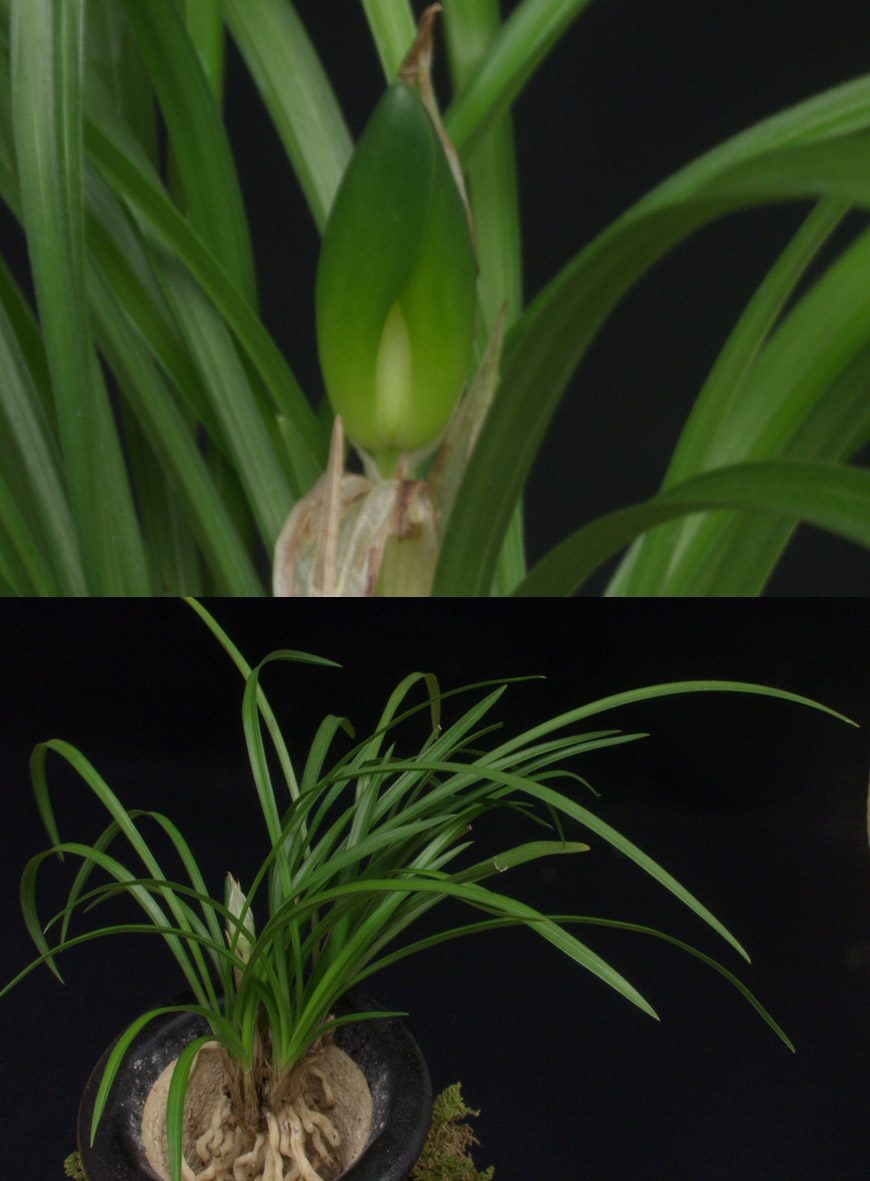 ������ ū������ �� �� �ֽ��ϴ�.