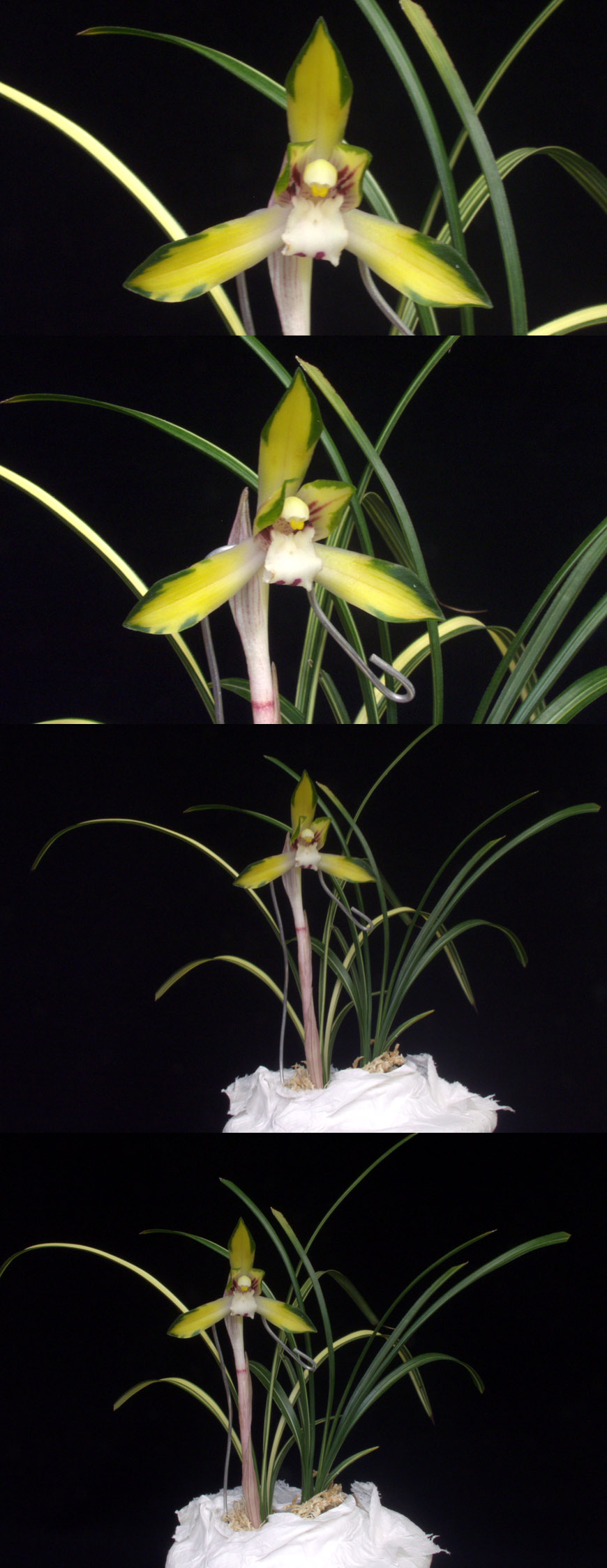 ������ ū������ �� �� �ֽ��ϴ�.