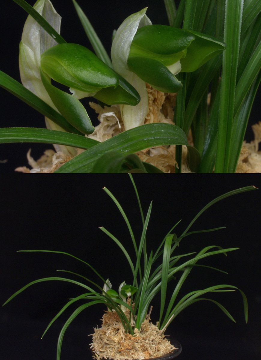 ������ ū������ �� �� �ֽ��ϴ�.