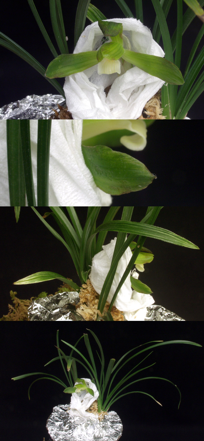 ������ ū������ �� �� �ֽ��ϴ�.