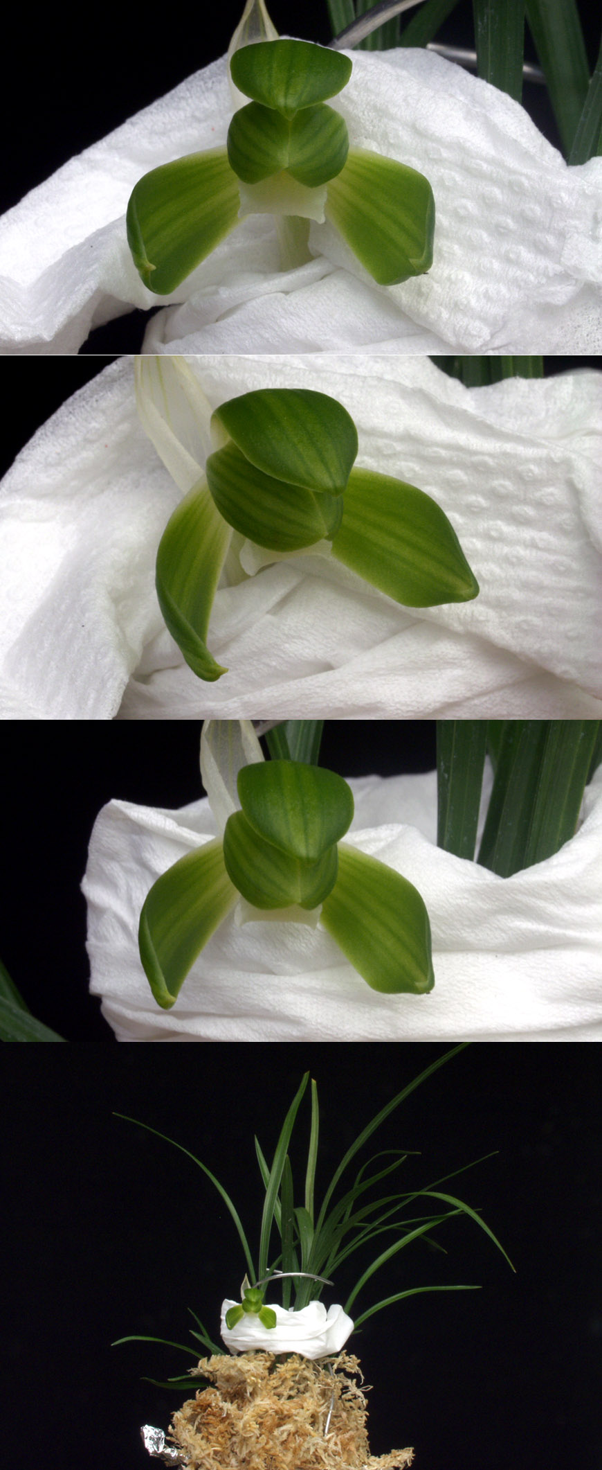 ������ ū������ �� �� �ֽ��ϴ�.