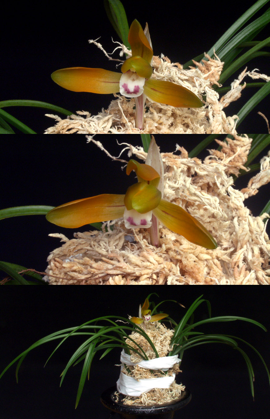 ������ ū������ �� �� �ֽ��ϴ�.