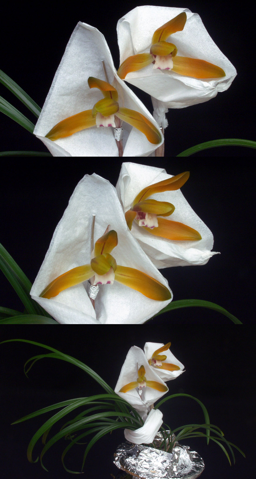 ������ ū������ �� �� �ֽ��ϴ�.