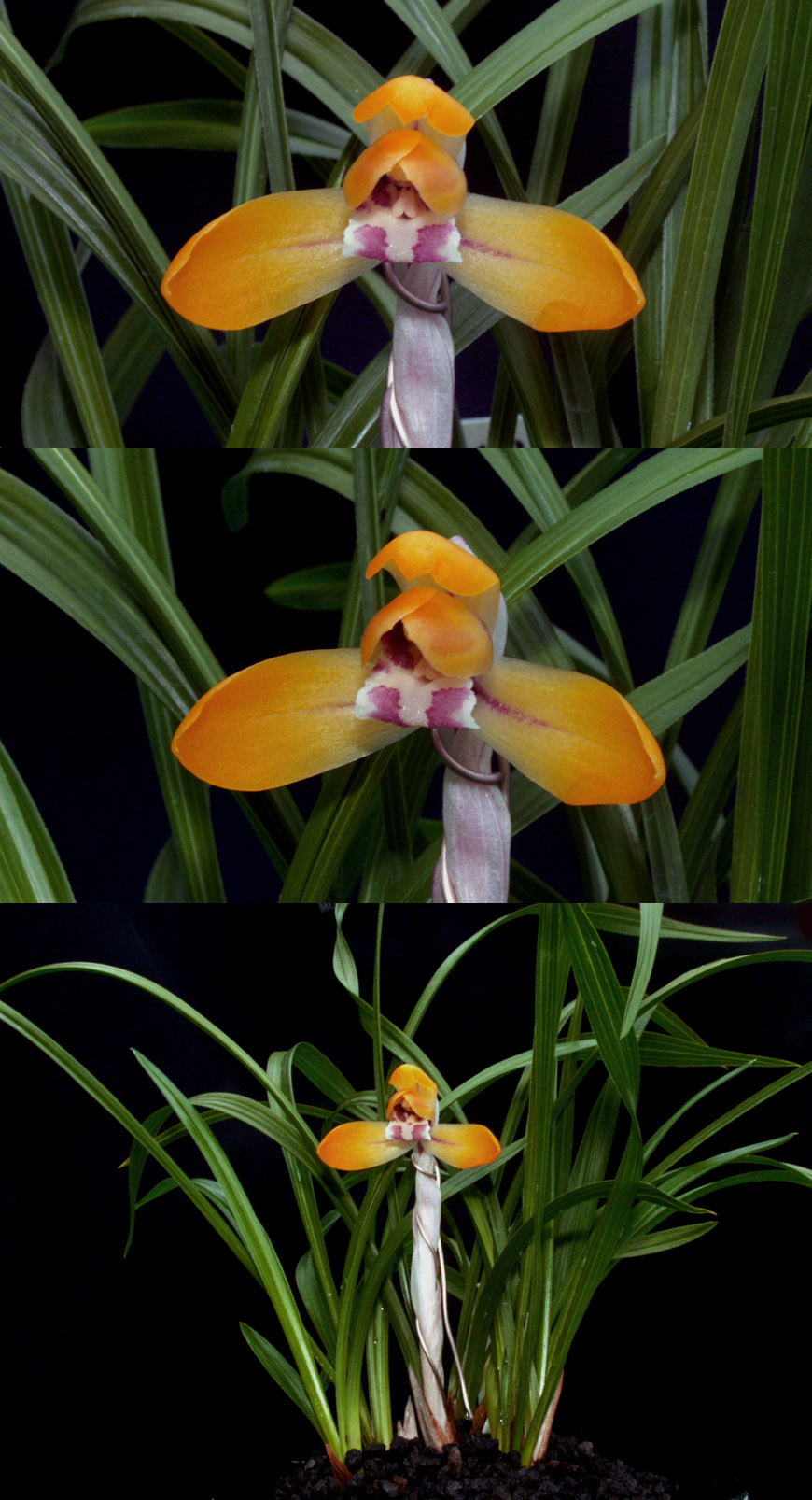 ������ ū������ �� �� �ֽ��ϴ�.