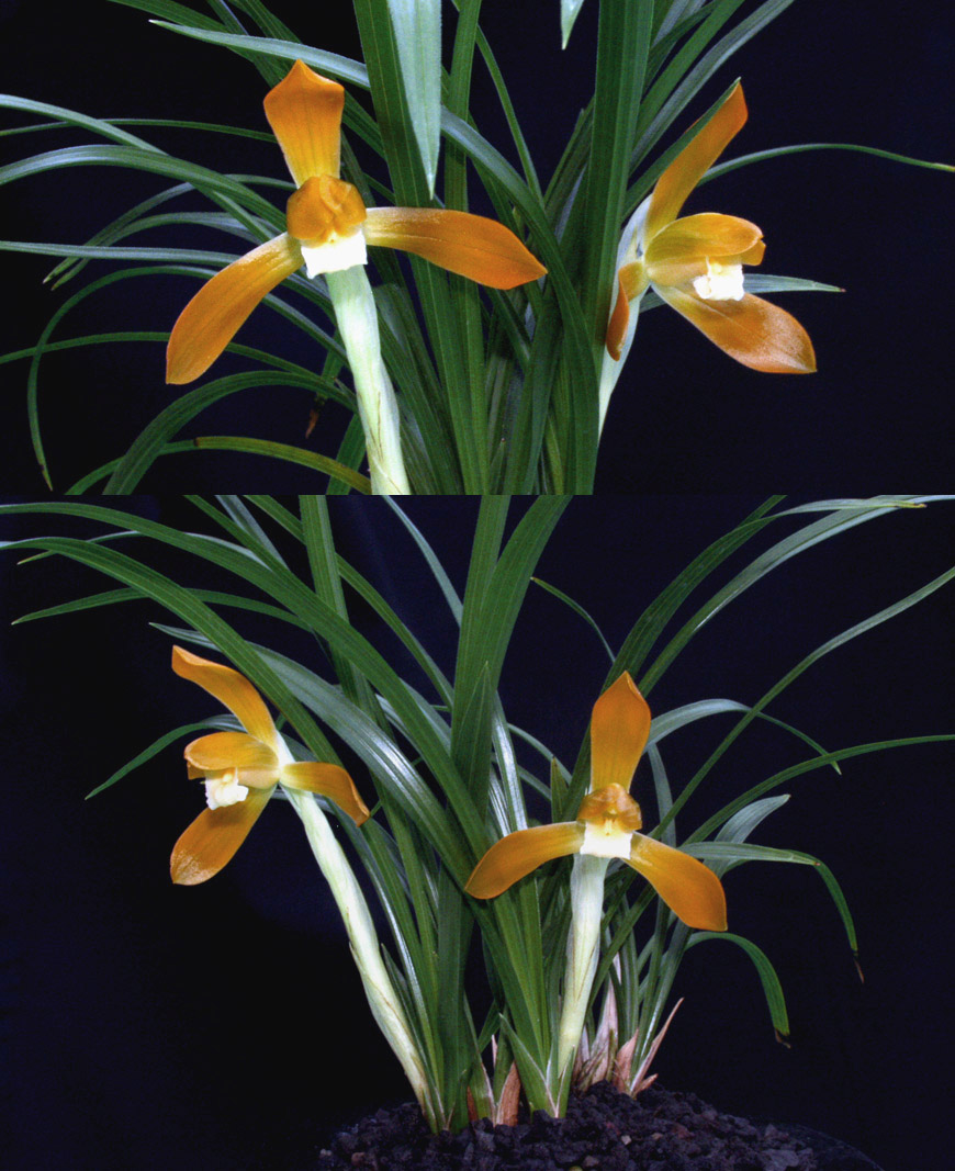 ������ ū������ �� �� �ֽ��ϴ�.