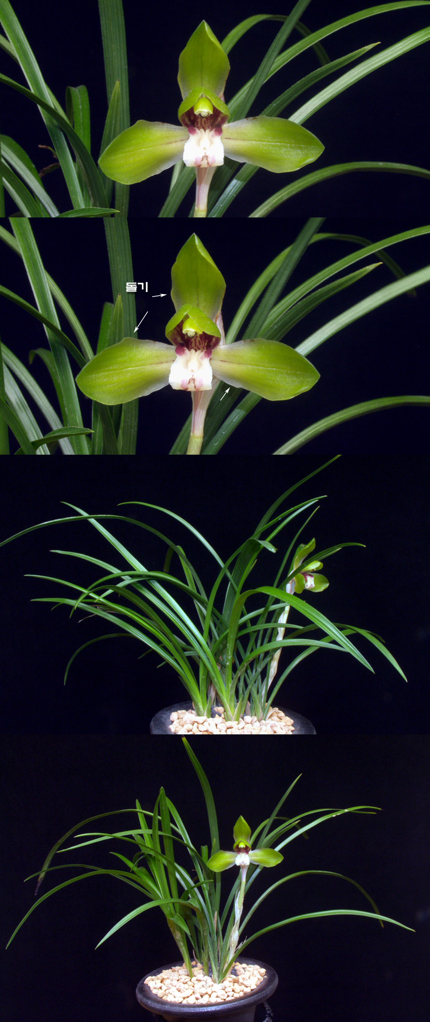 ������ ū������ �� �� �ֽ��ϴ�.