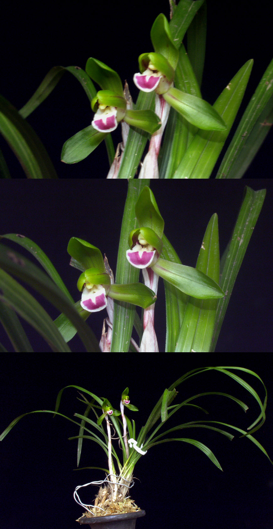 ������ ū������ �� �� �ֽ��ϴ�.