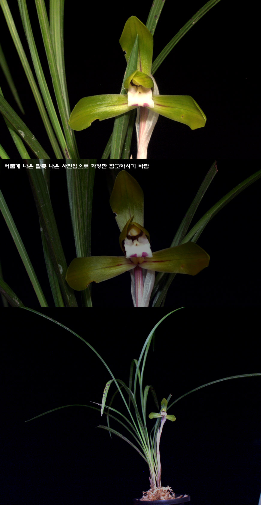 ������ ū������ �� �� �ֽ��ϴ�.