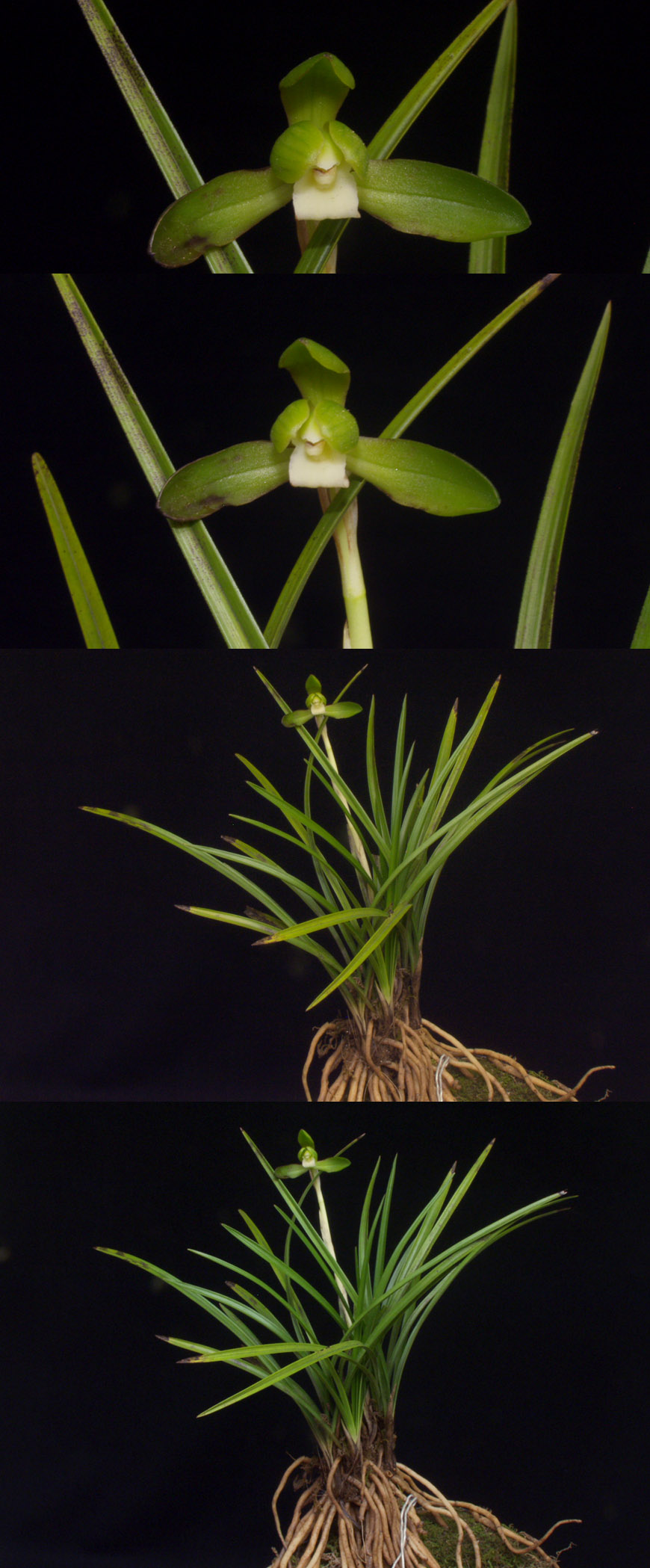 ������ ū������ �� �� �ֽ��ϴ�.