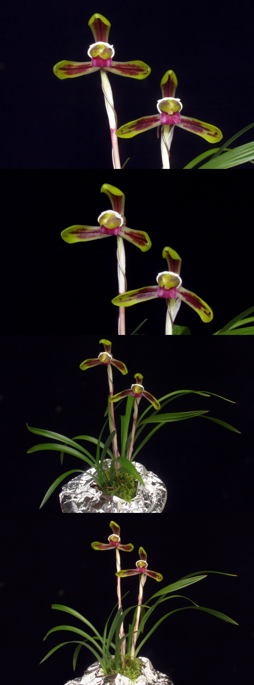 ������ ū������ �� �� �ֽ��ϴ�.