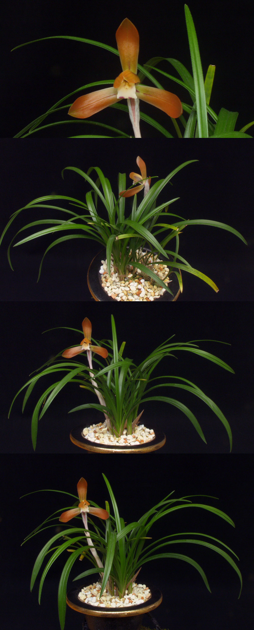 ������ ū������ �� �� �ֽ��ϴ�.