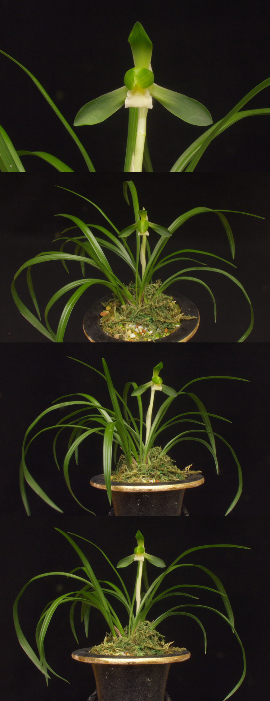 ������ ū������ �� �� �ֽ��ϴ�.