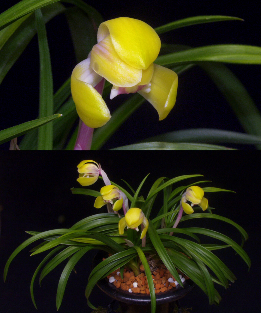 ������ ū������ �� �� �ֽ��ϴ�.