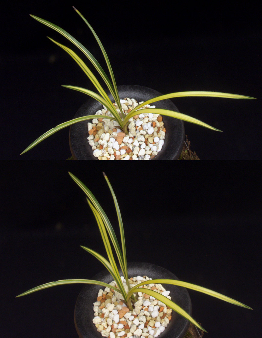 ������ ū������ �� �� �ֽ��ϴ�.