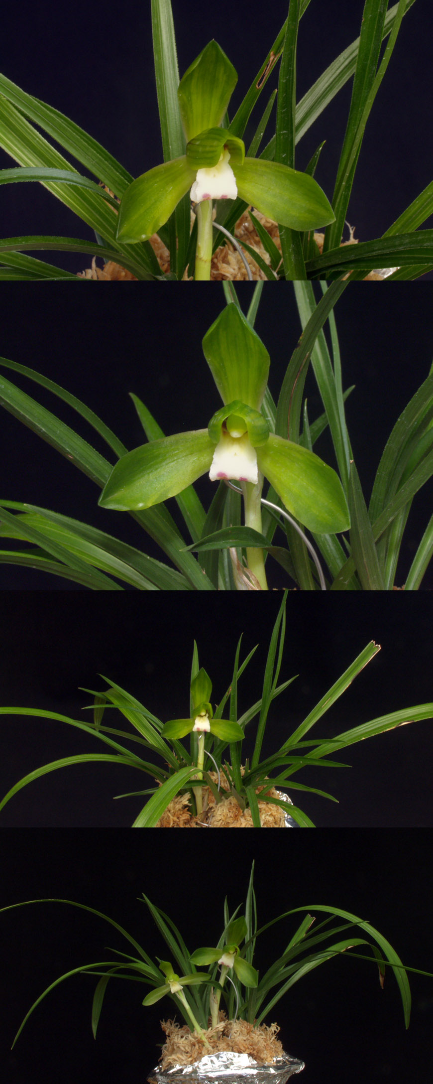 ������ ū������ �� �� �ֽ��ϴ�.