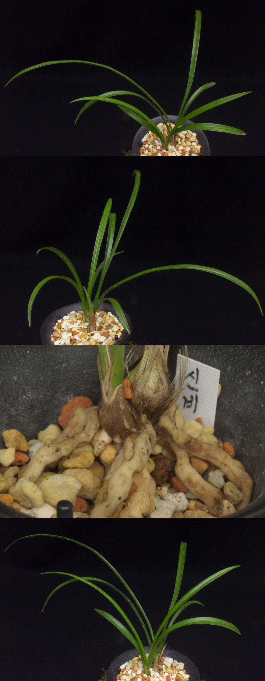 ������ ū������ �� �� �ֽ��ϴ�.