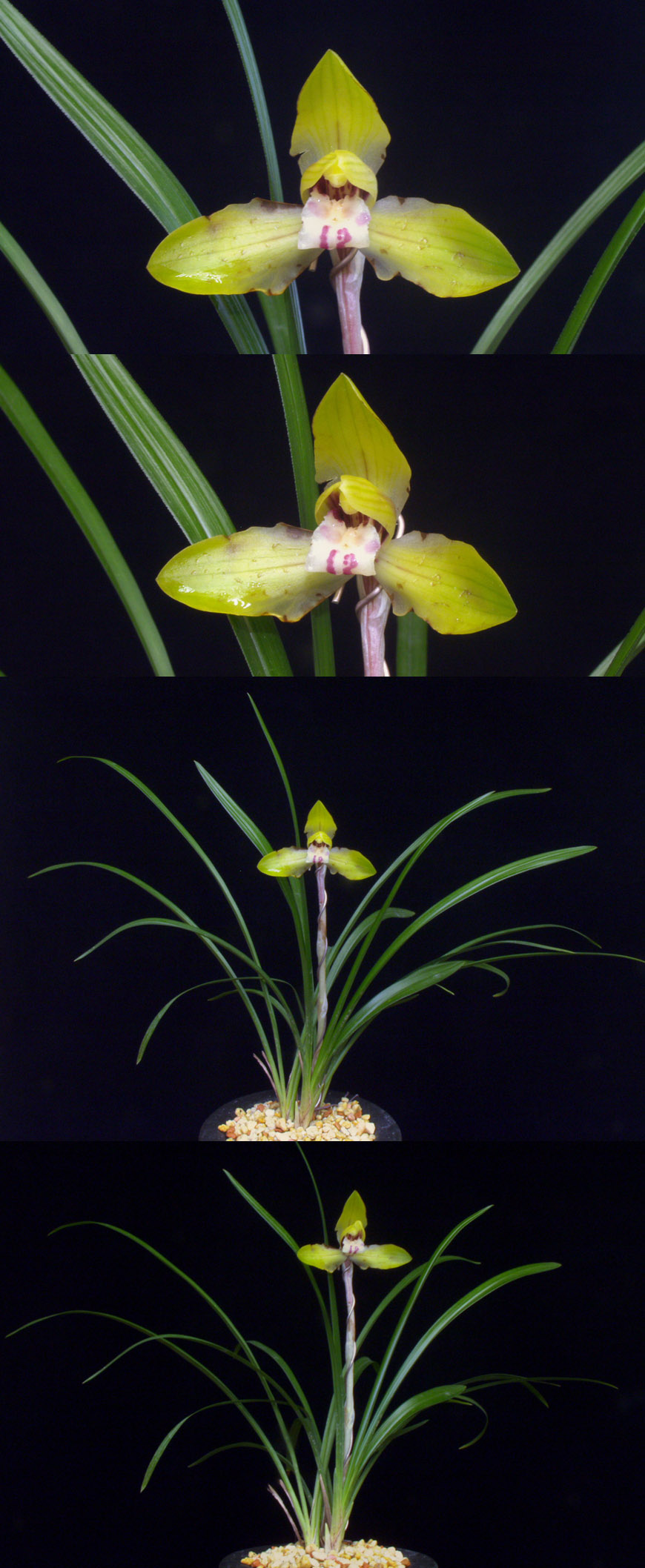 ������ ū������ �� �� �ֽ��ϴ�.