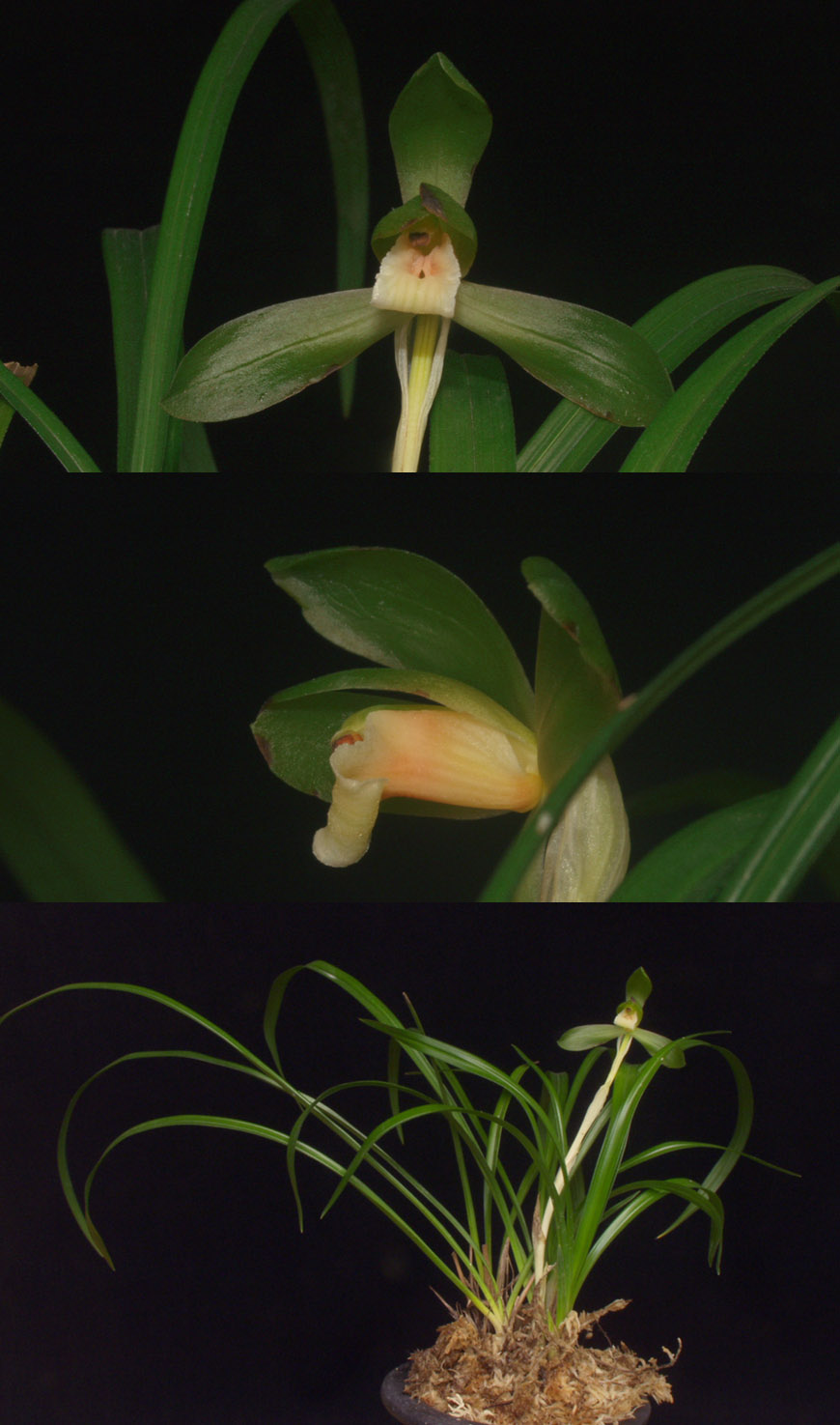 ������ ū������ �� �� �ֽ��ϴ�.