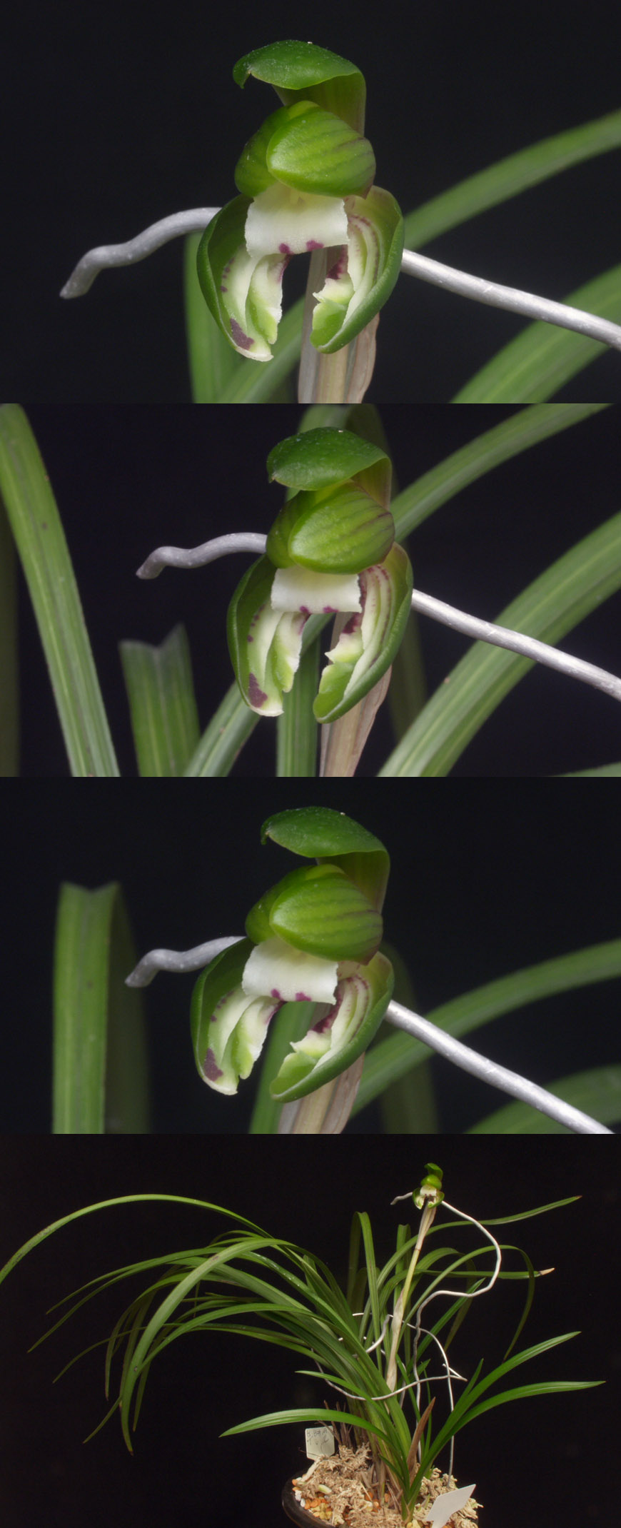 ������ ū������ �� �� �ֽ��ϴ�.