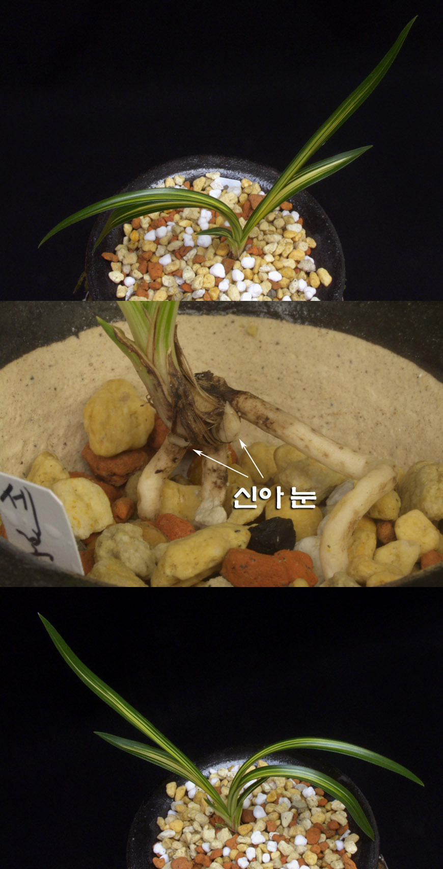 ������ ū������ �� �� �ֽ��ϴ�.