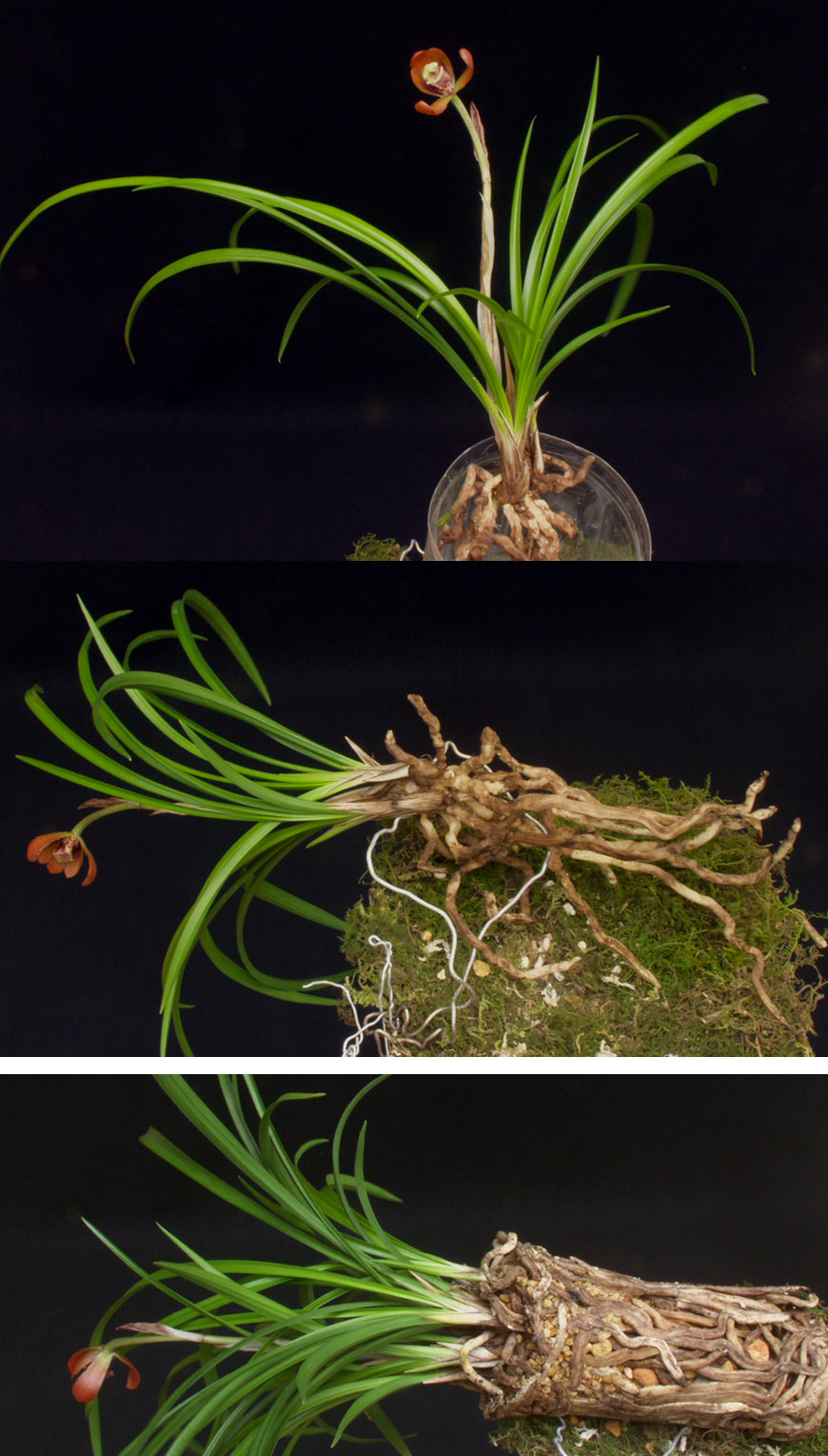 ������ ū������ �� �� �ֽ��ϴ�.