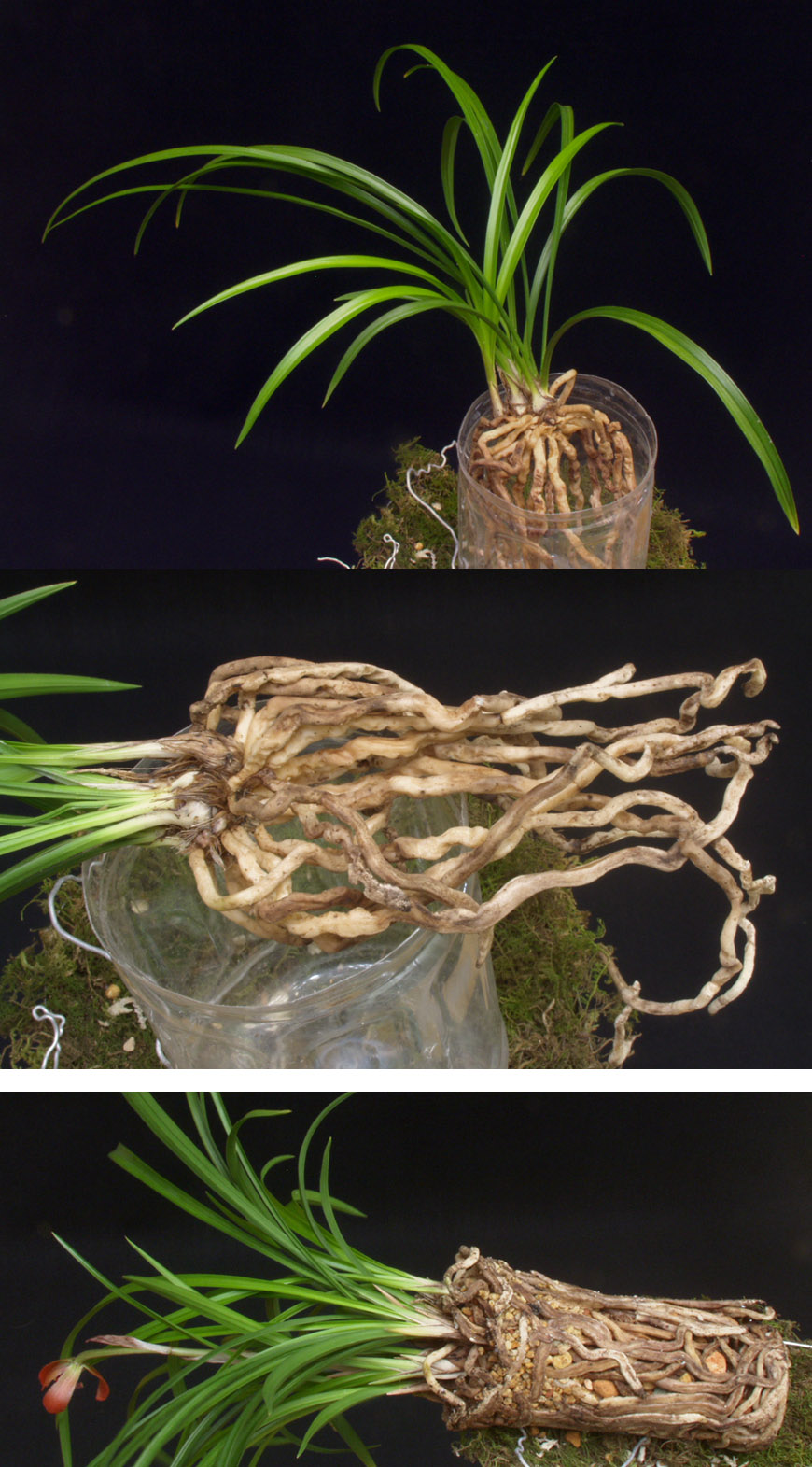 ������ ū������ �� �� �ֽ��ϴ�.