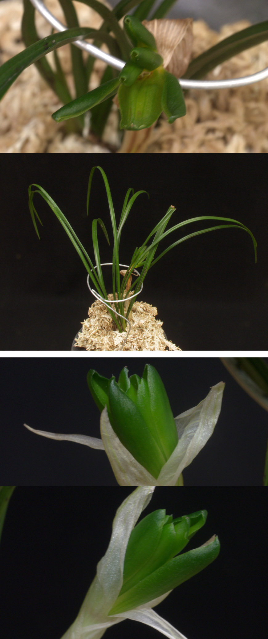 ������ ū������ �� �� �ֽ��ϴ�.