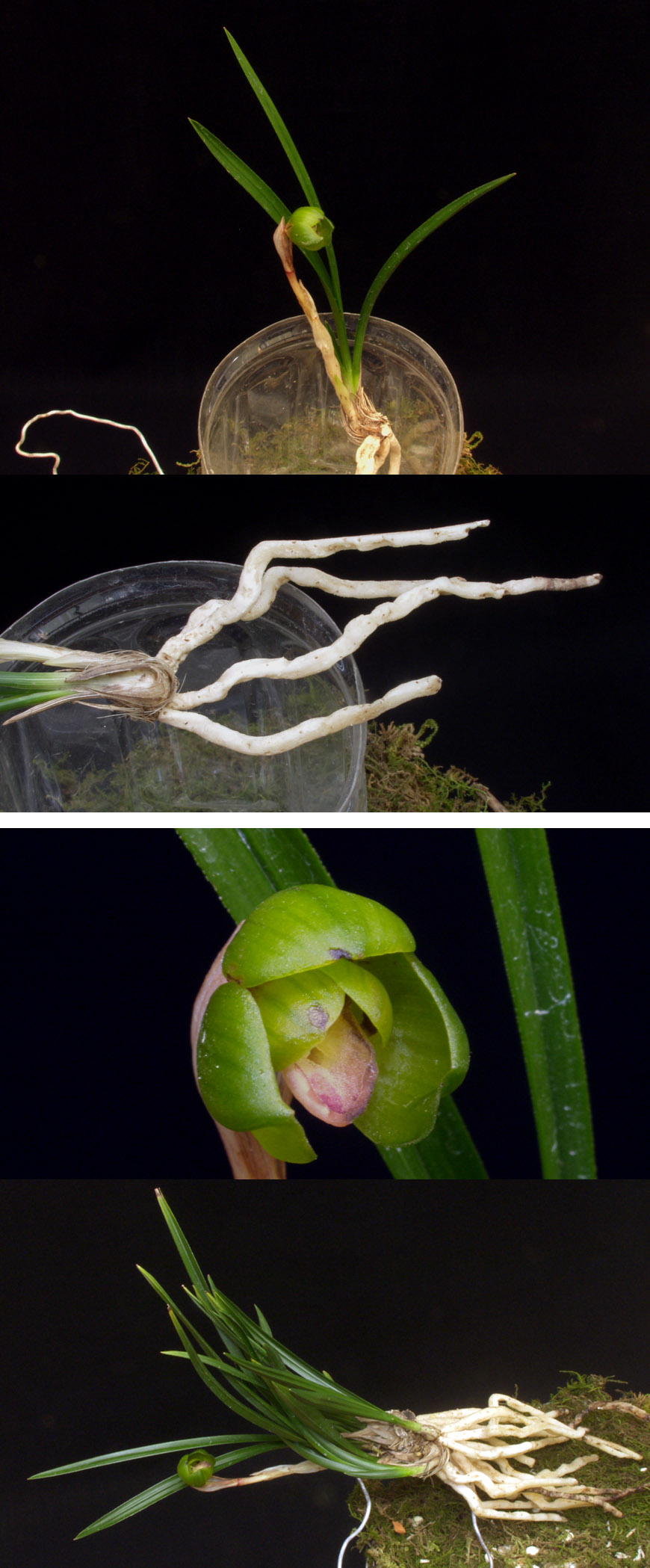 ������ ū������ �� �� �ֽ��ϴ�.