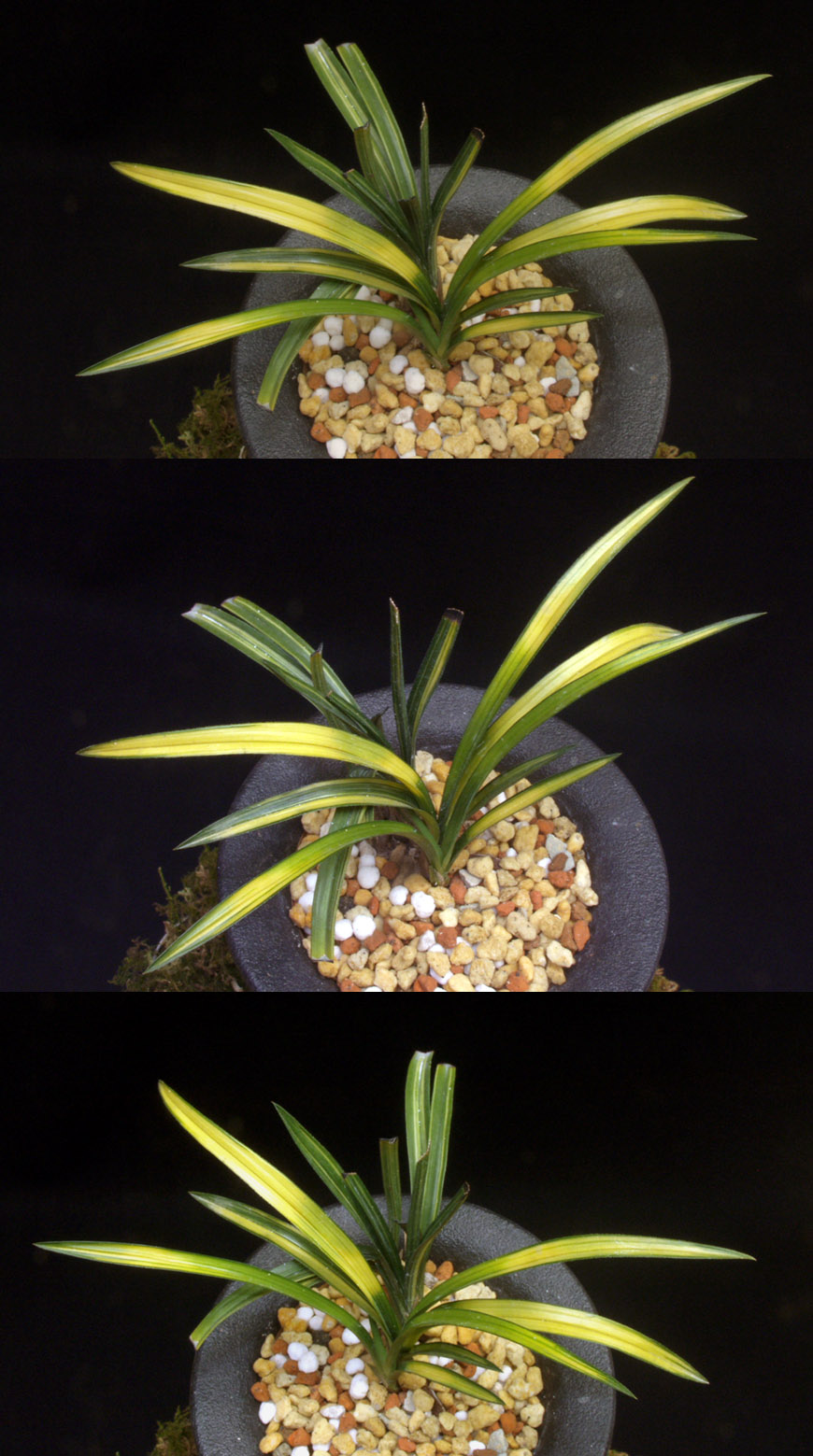 ������ ū������ �� �� �ֽ��ϴ�.