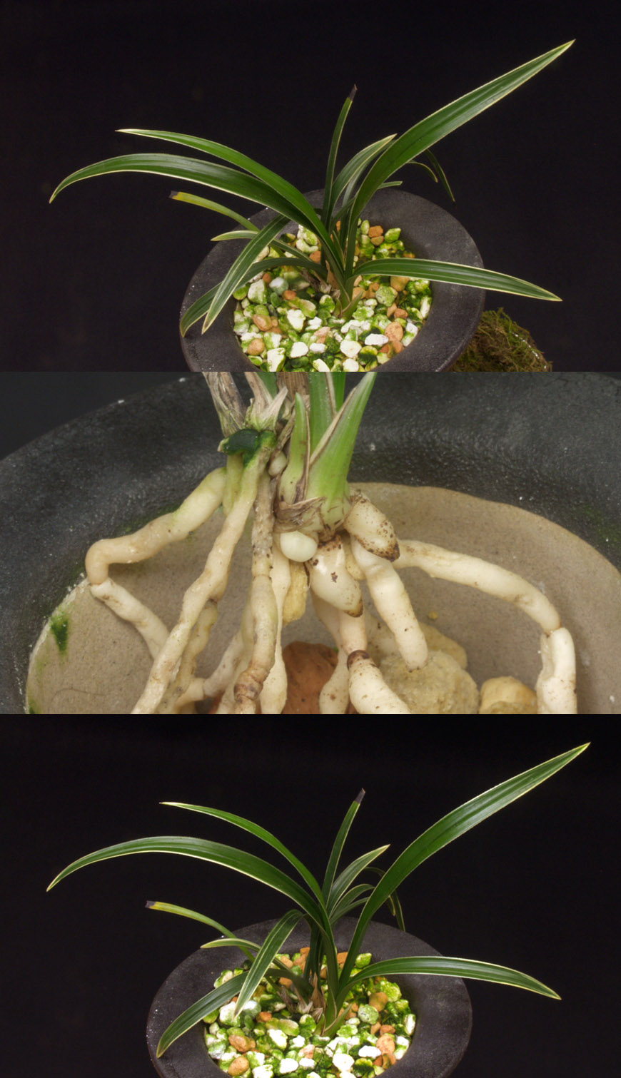 ������ ū������ �� �� �ֽ��ϴ�.