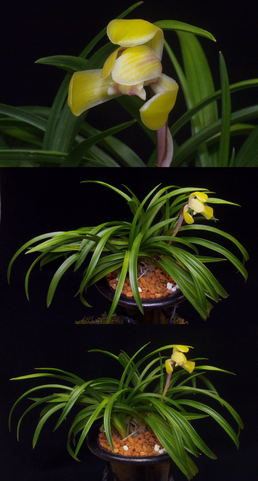 ������ ū������ �� �� �ֽ��ϴ�.