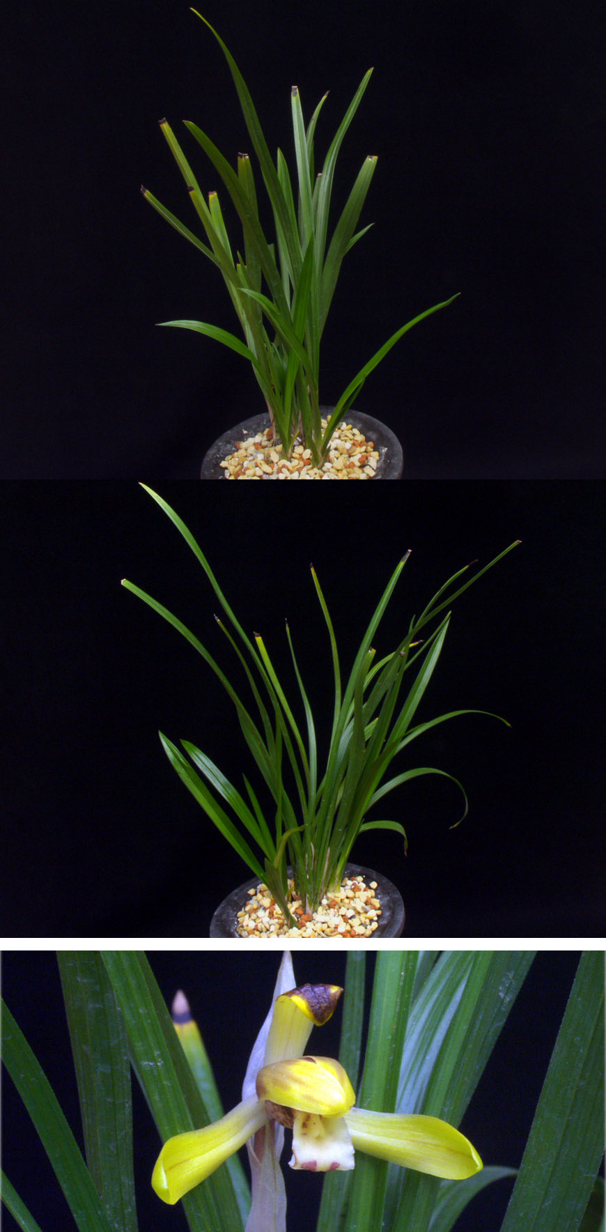 ������ ū������ �� �� �ֽ��ϴ�.