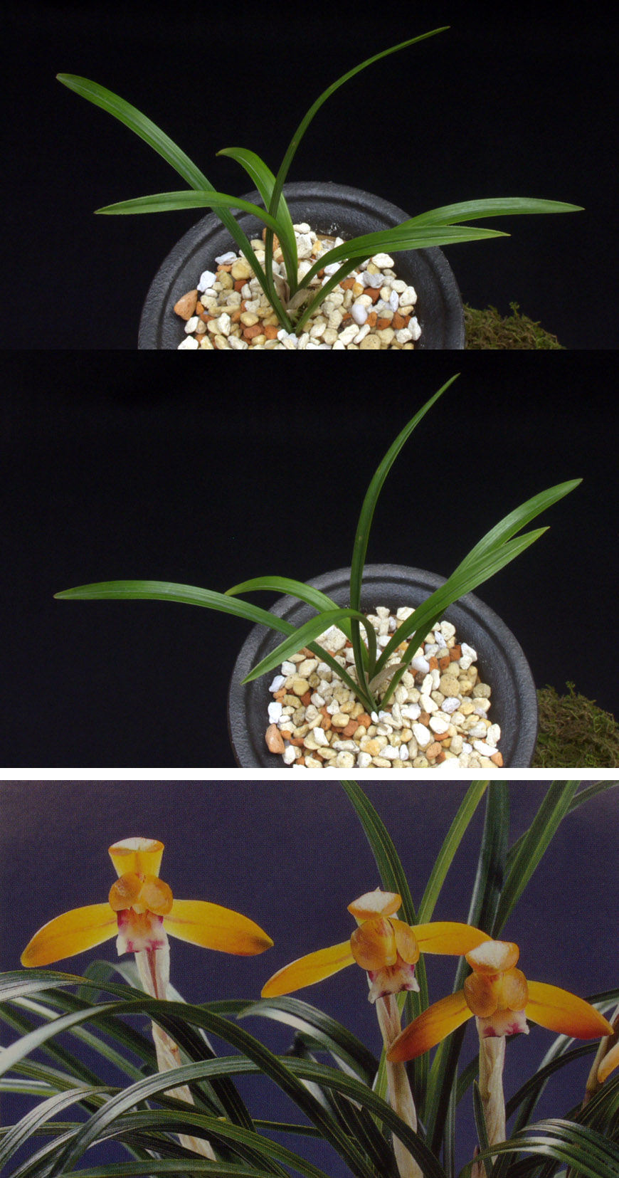 ������ ū������ �� �� �ֽ��ϴ�.