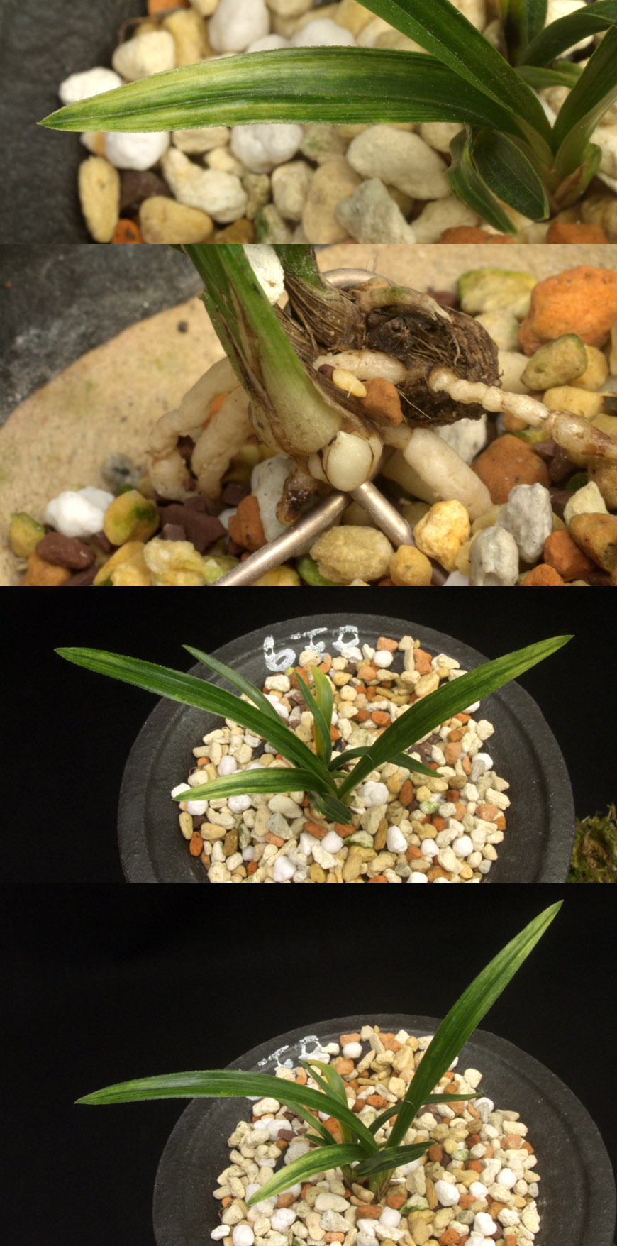 ������ ū������ �� �� �ֽ��ϴ�.