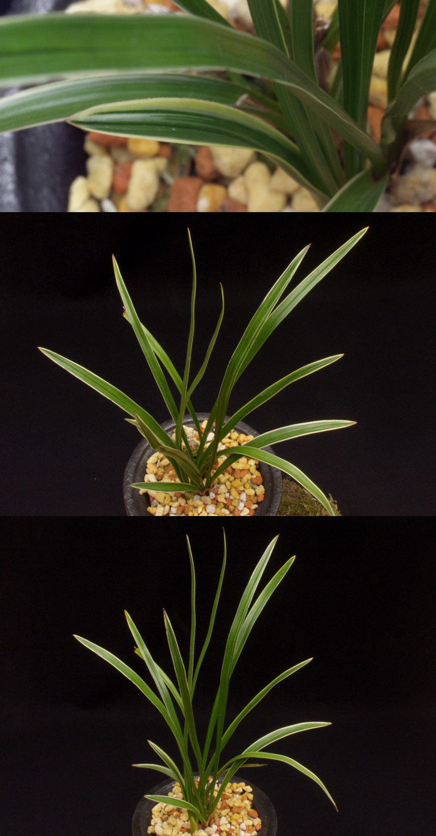 ������ ū������ �� �� �ֽ��ϴ�.