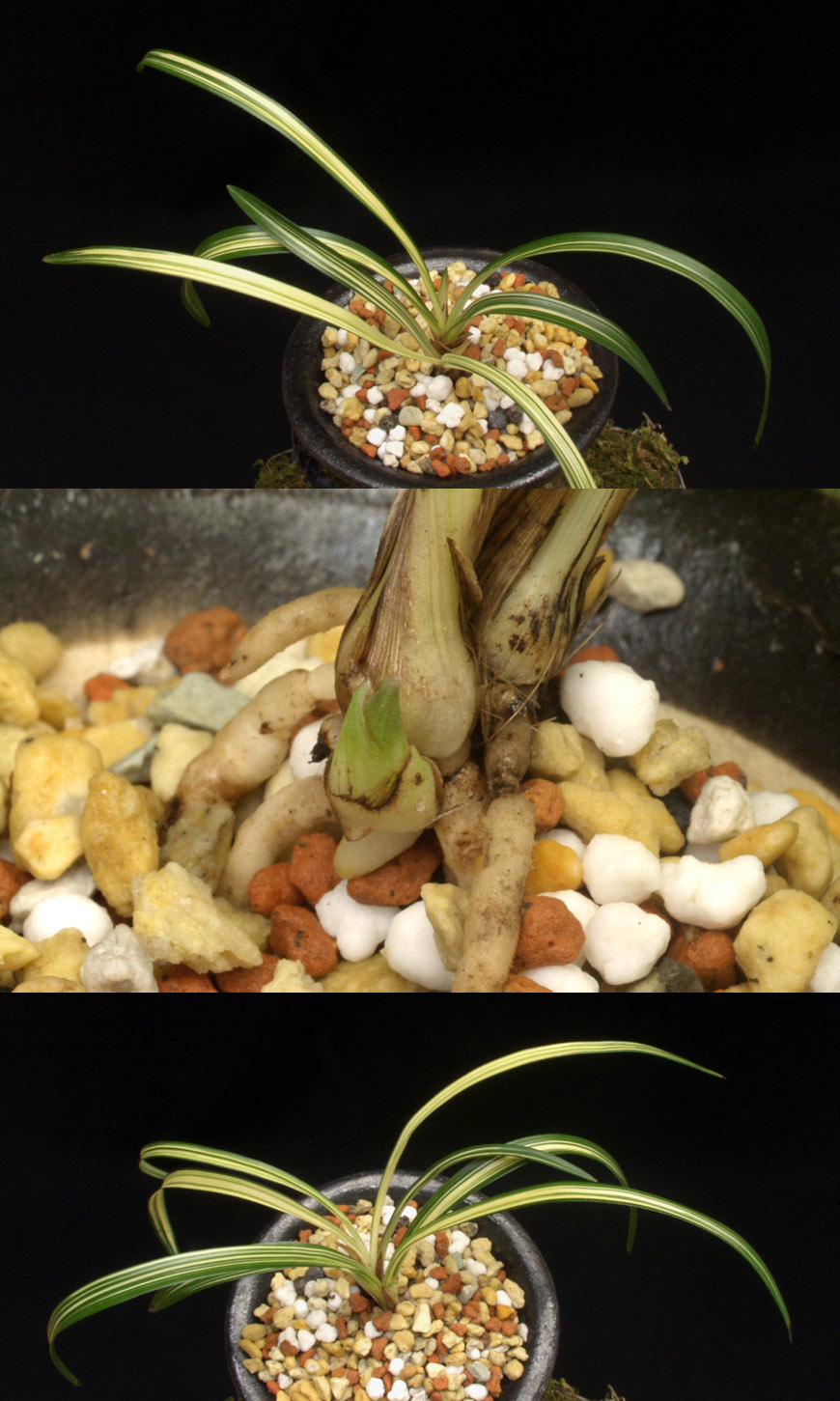 ������ ū������ �� �� �ֽ��ϴ�.