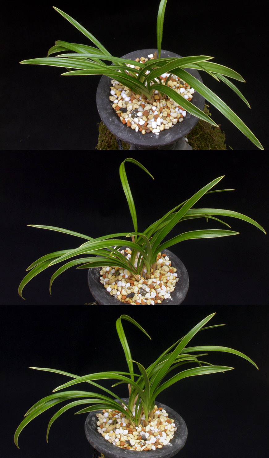 ������ ū������ �� �� �ֽ��ϴ�.